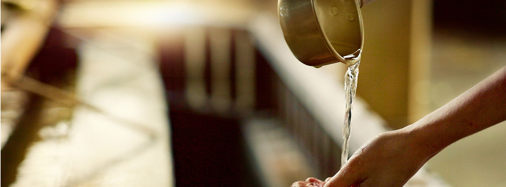 Organic Aloe Vera Castile Body Wash, Sanso Cellular Australia by Sonya