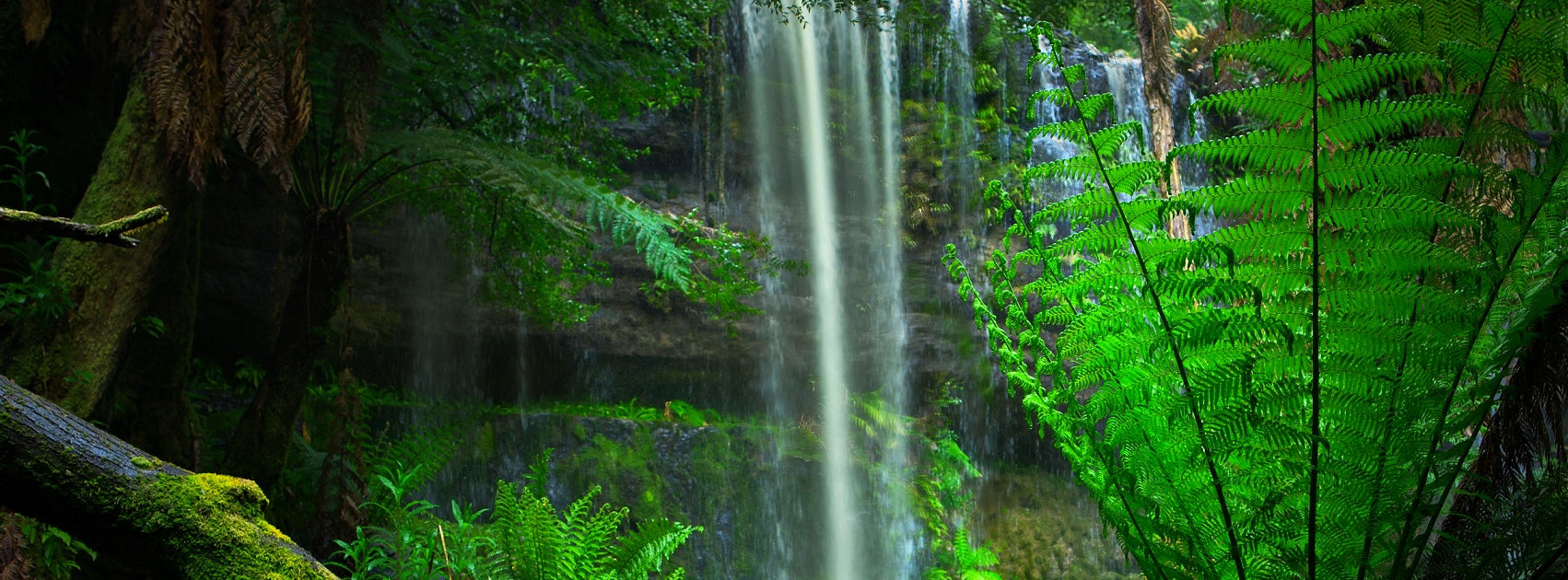 Australian Native Body Bath Shower Hand Crafted Sanso Cellular Australia by Sonya