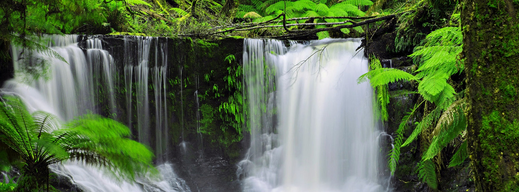 Australian Native collection Pure Soy Melt