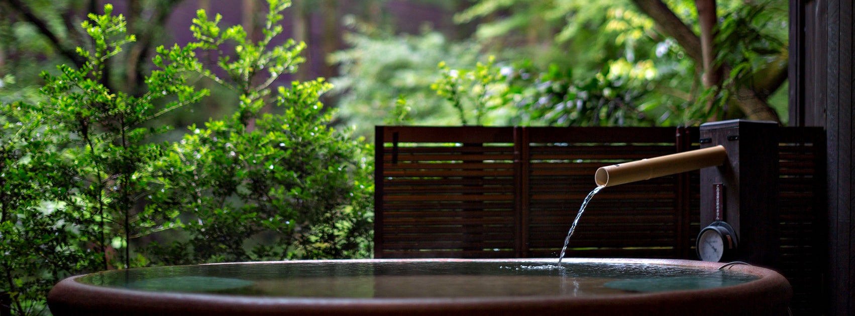 Organical Botanical Bath and Shower Essentials, Handmade Sanso Cellular Australia by Sonya