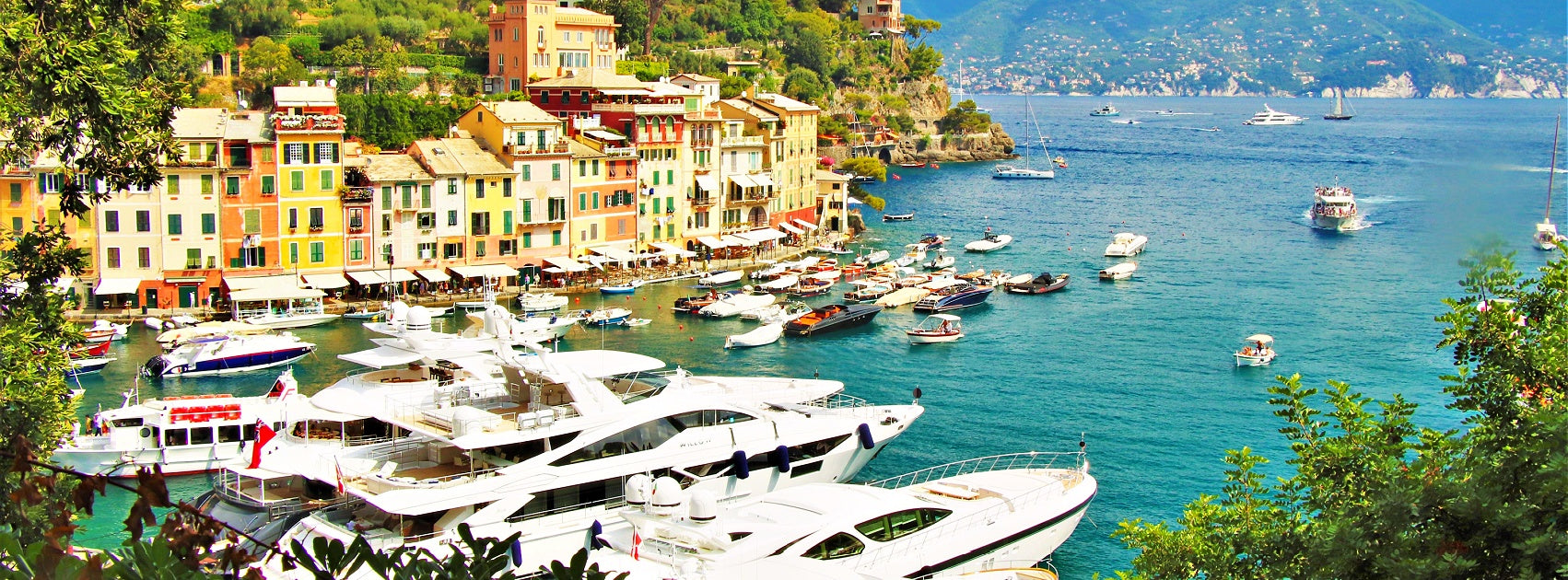 European Beach Retreat Collection Diffuser Oil Hand Crafted sanso Cellular Australia by Sonya