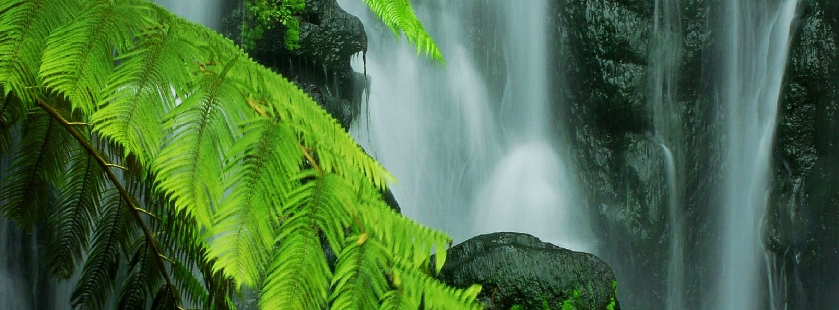 Boutique SPA Diffuser Oils Artesian Crafted Sanso Cellular Australia by Sonya