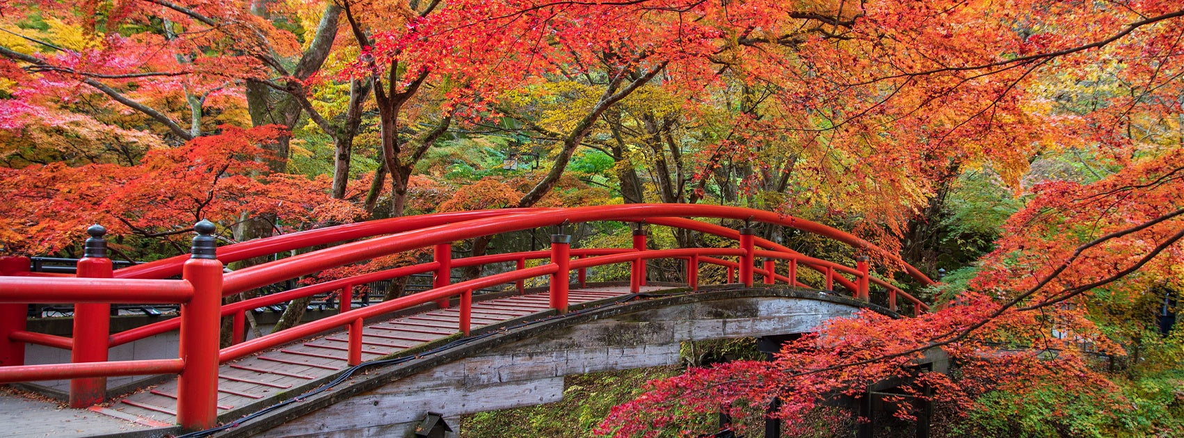 Boutique SPA Collection Reed Diffuser Refill