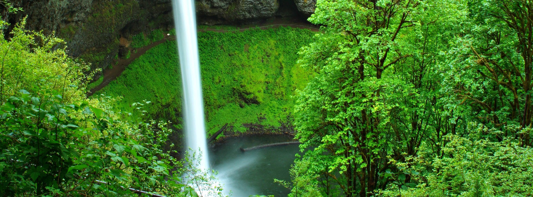 Organic Botanical Face Cleanser, Sanso Cellular Australia by Sonya