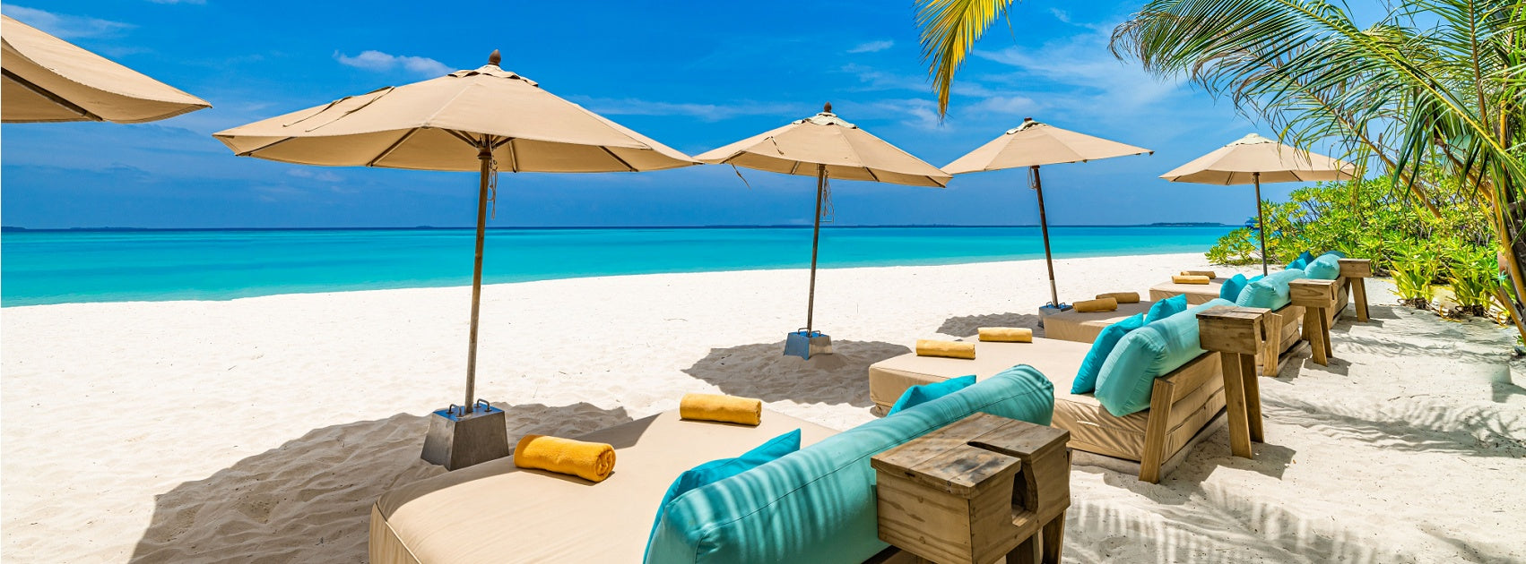 Coconut Lime Island Escape Collection Diffuser Oils