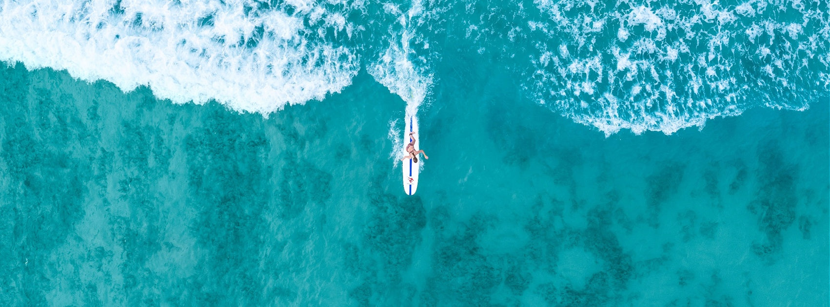 Coconut Lime Island Escape Collection Hanging Diffuser, Sanso Cellular Australia by Sonya