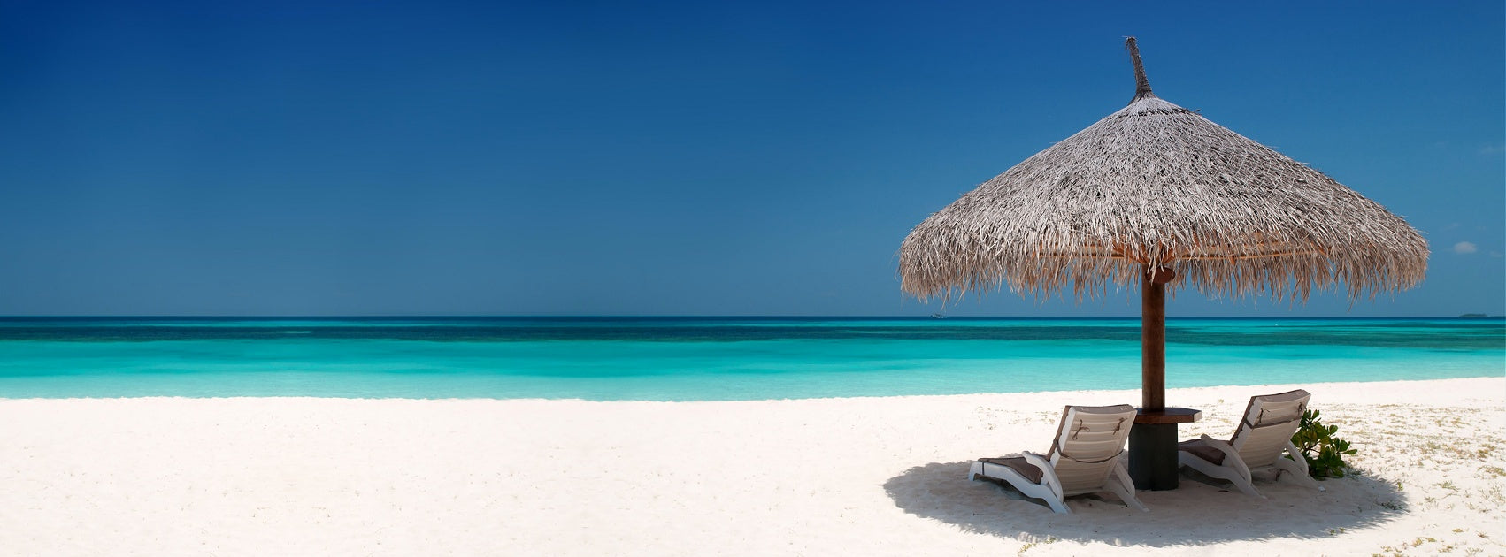 Coconut Lime Island Escape Collection Reed Diffuser Australia