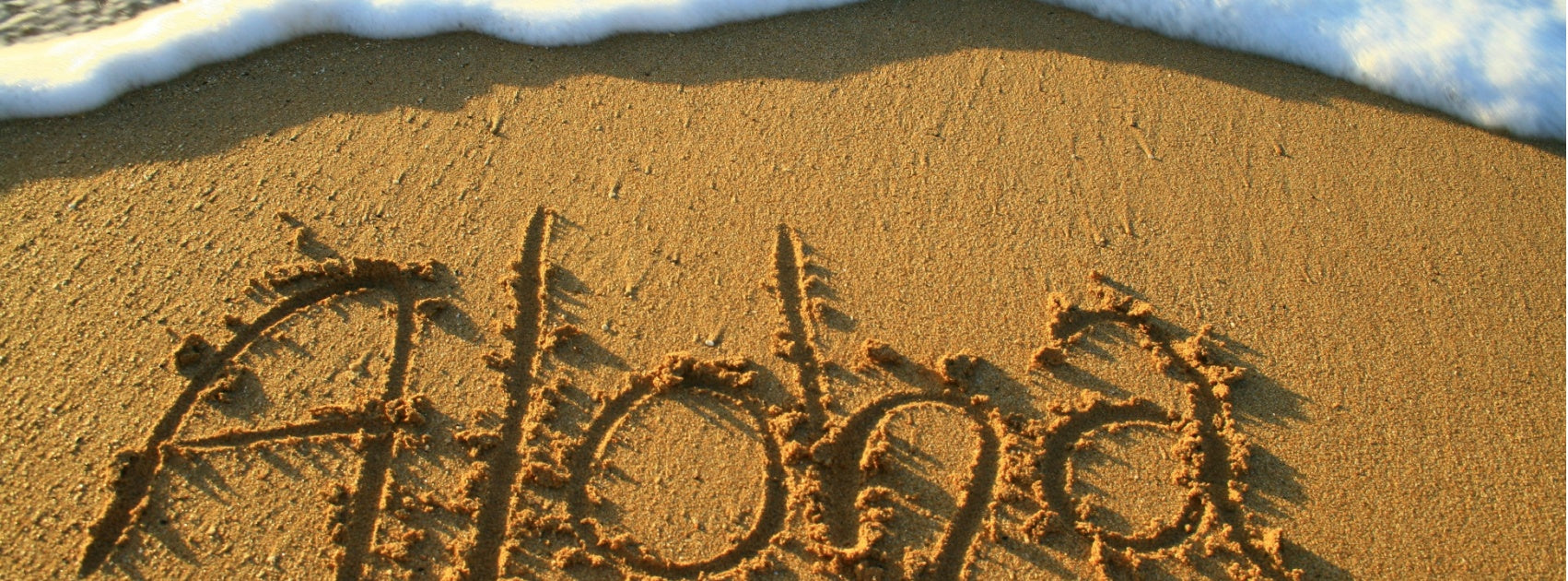 Coconut Lime Island Escape Collection Reed Diffuser Refill Australia