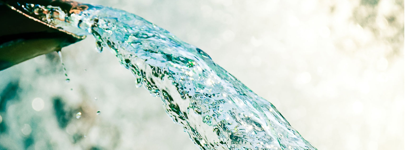 Collagen Stimulating Organic Botanical Skincare, Handmade Sanso Cellular Australia by Sonya