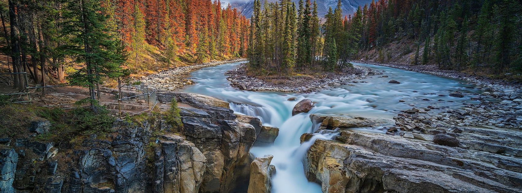 Earth I Wood Collection Diffuser Oils