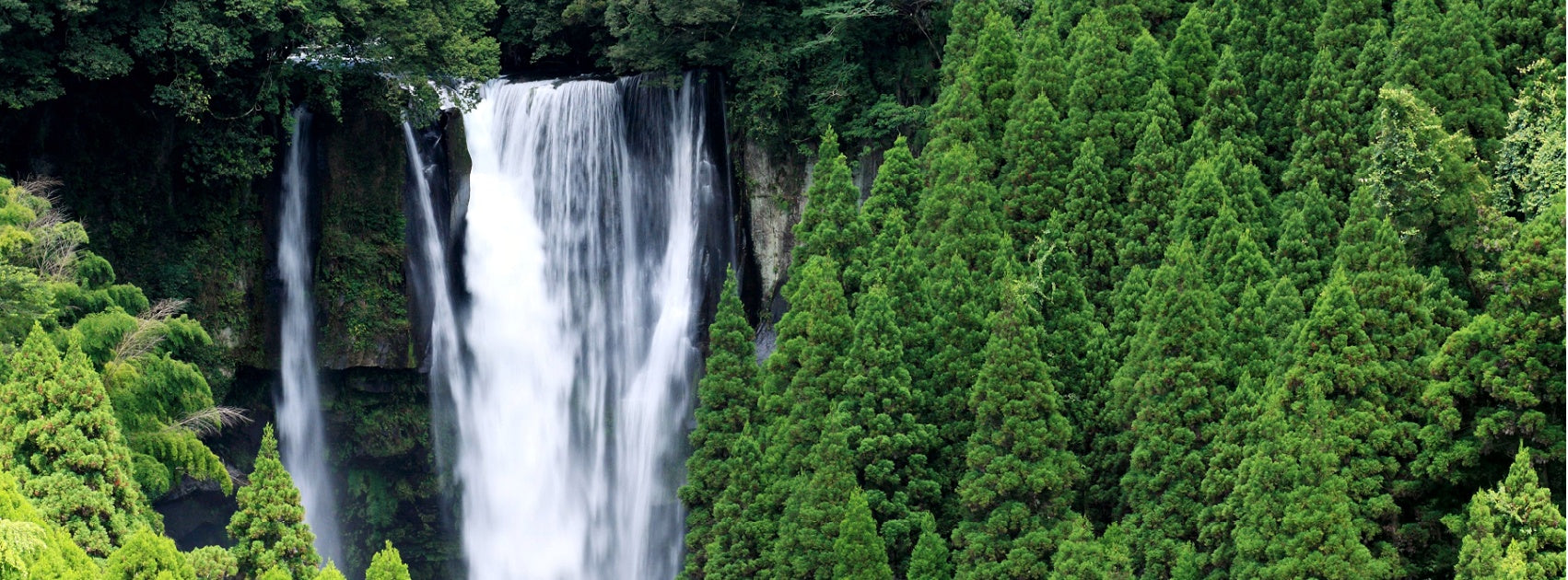 Earth and Wood Collection Pure Soy Candles and Melts Hand Crafted Sanso Cellular Australia by Sonya