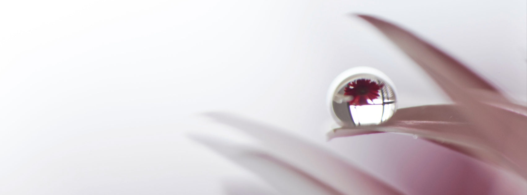 Pure Essential Oil I Diffuser Gift Box