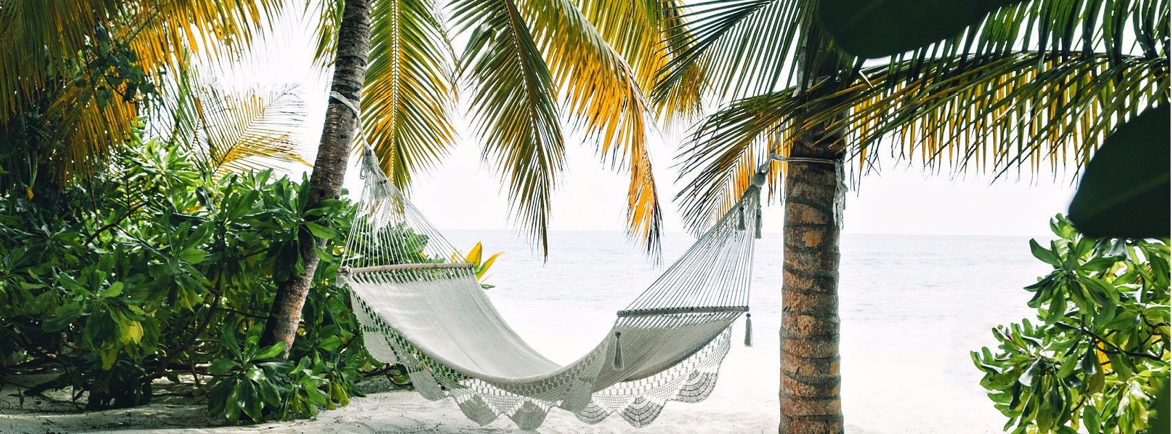 Fruit I Figue Collection Diffuser Oils