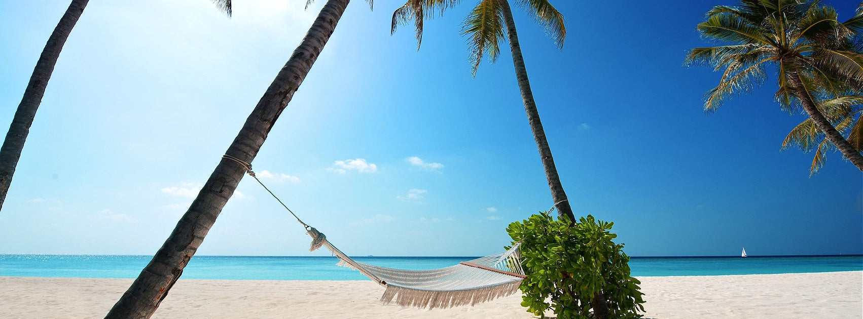 Fruit I Figue Reed Diffuser Australia