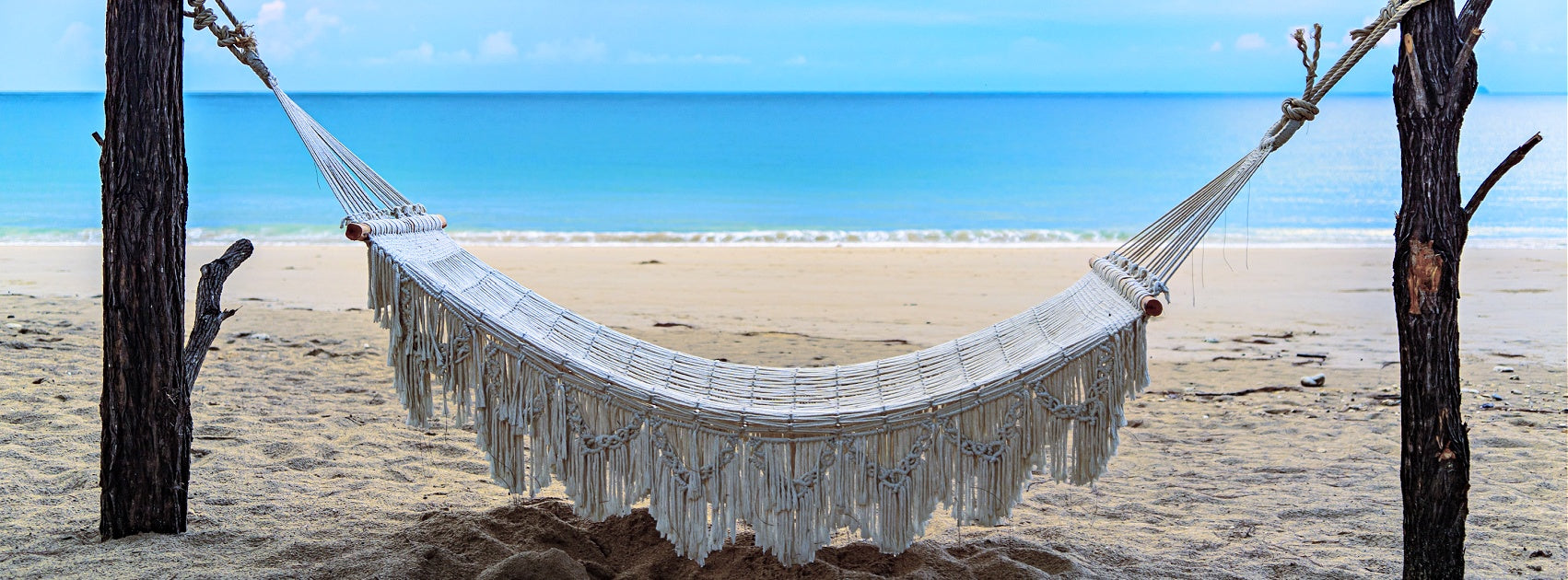 Fruit I Figue Collection Reed Diffuser Refill Australia