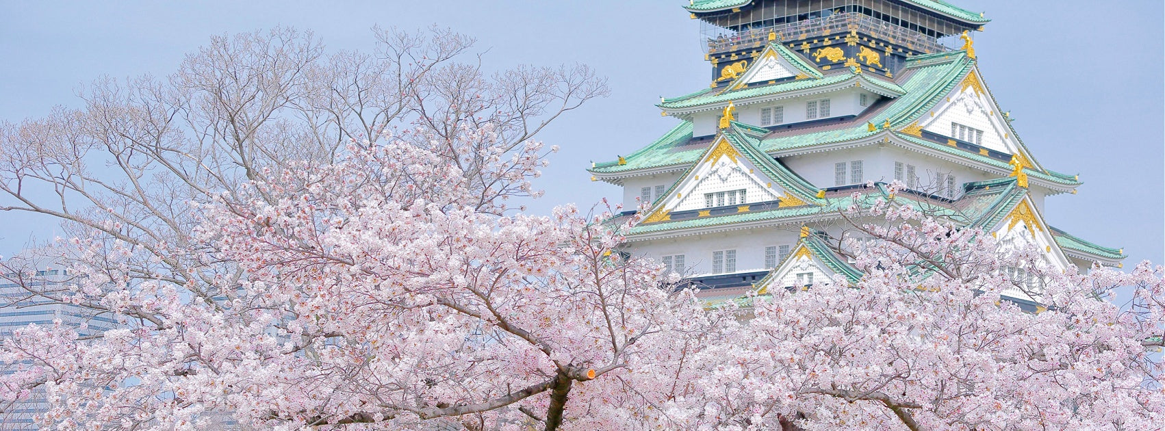 Japanese SPA Collection Pure Soy Melts