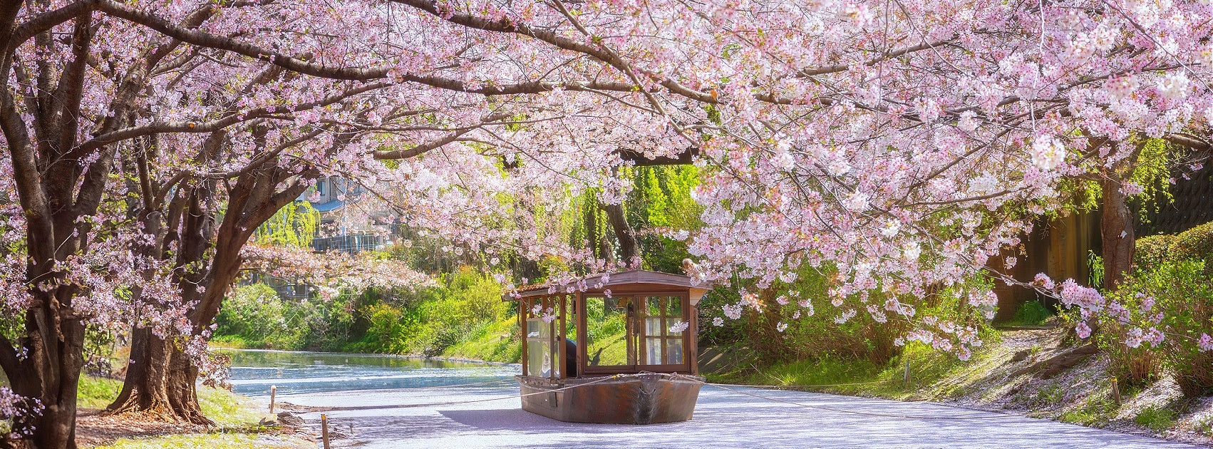 Japanese Spa Home Aroma Collection, Exclusively Hand Crafted Sanso Cellular Australia by Sonya