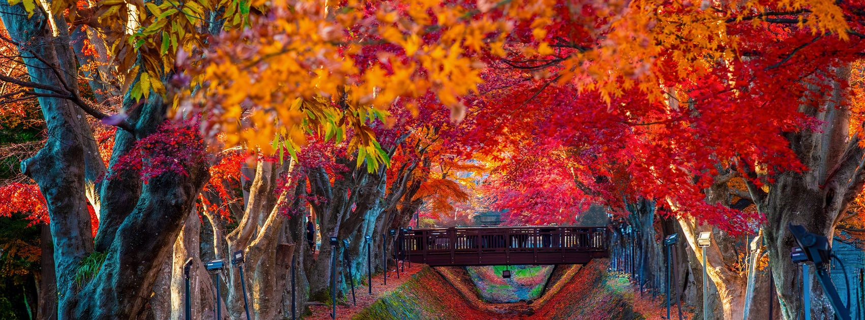 Japanese Spa Collection Reed Diffuser Refill Australia