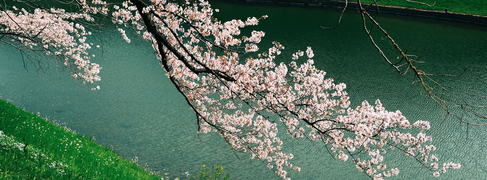 Japanese SPA Interior Room Linen Mist Hand Crafted Sanso Cellular Australia by Sonya