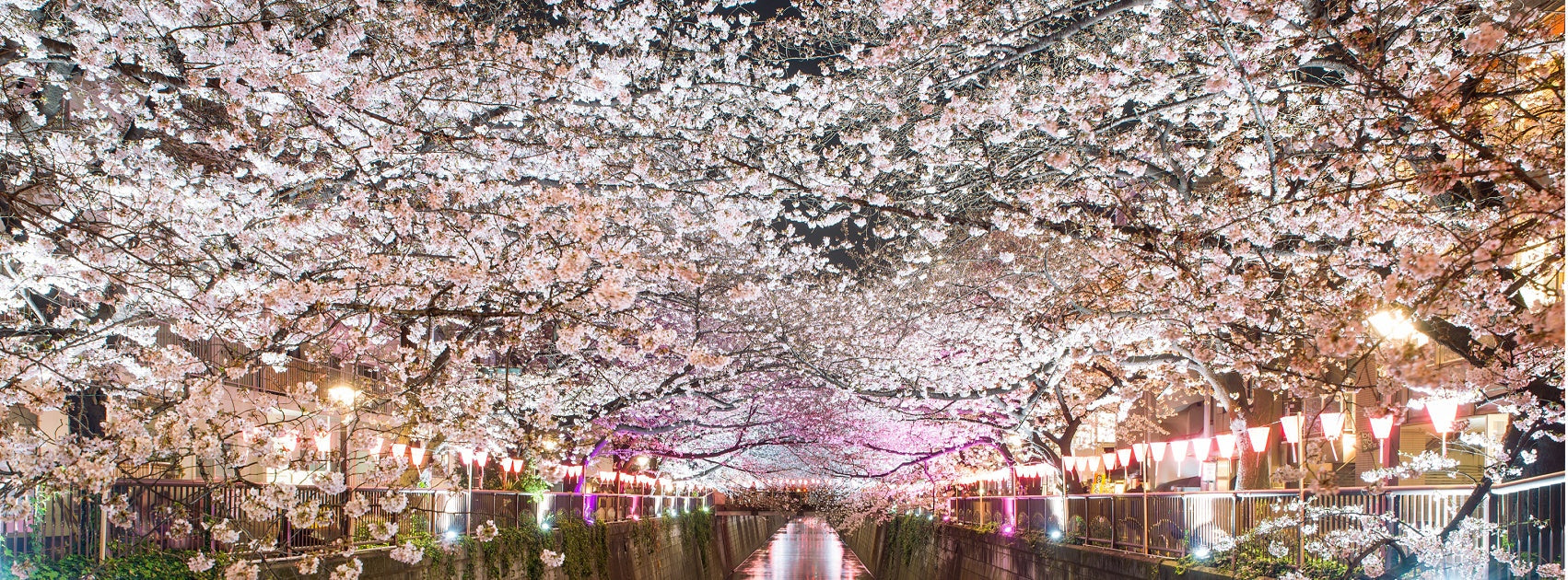 Japanese Hana Sakura Flower Collection Pure Soy Melt