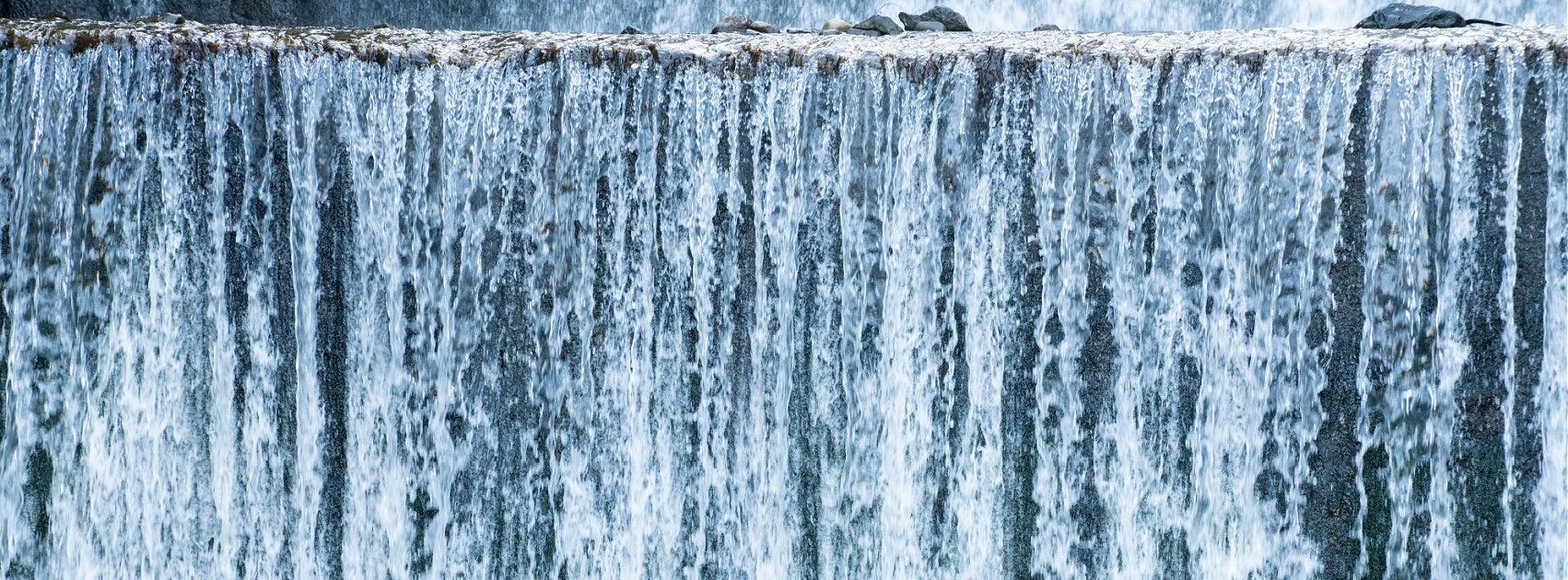 Organic Botanical Hair Care Products, Handmade Sanso Cellular Australia by Sonya 