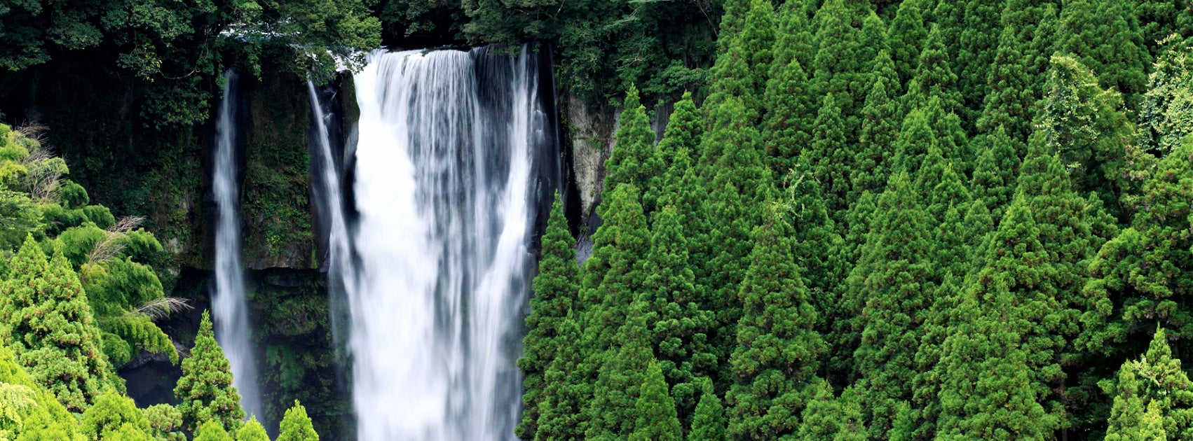 Organic Botanical Pure Hair Serum Oil, Handmade Sanso Cellular Australia by Sonya