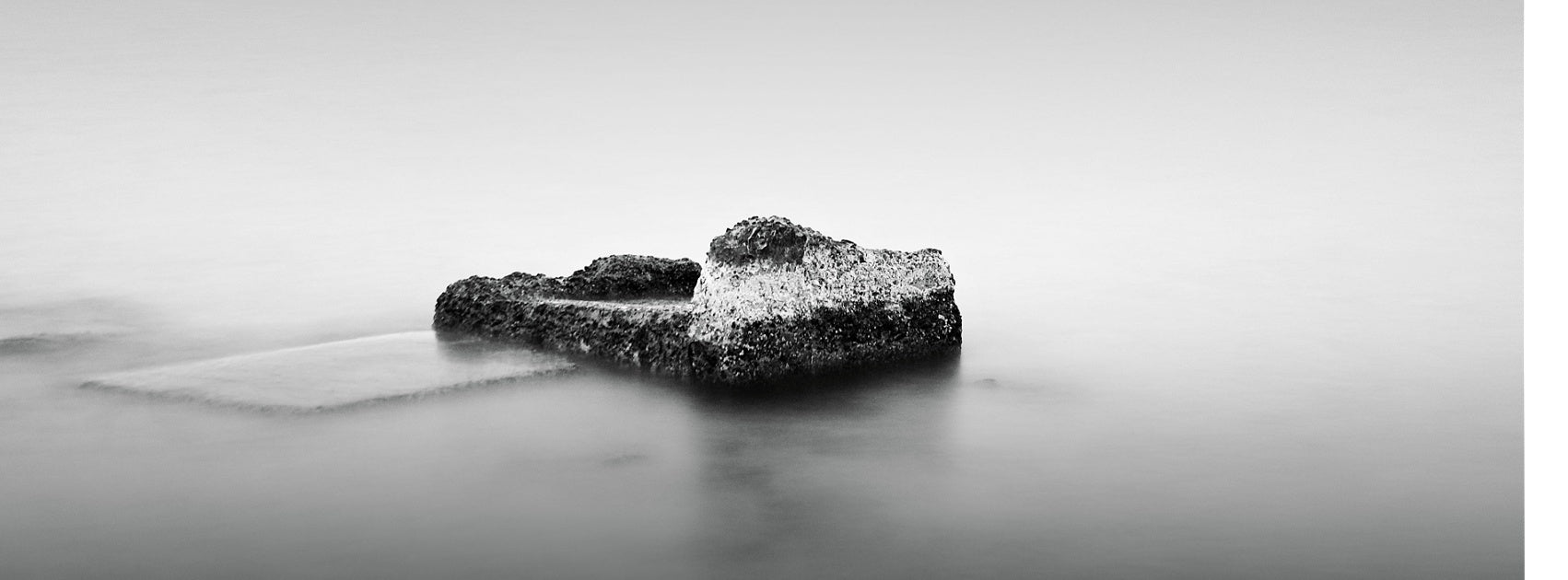 Luxurious Intense Wood collection Diffuser Oil Hand Crafted Sanso Cellular Australia by Sonya