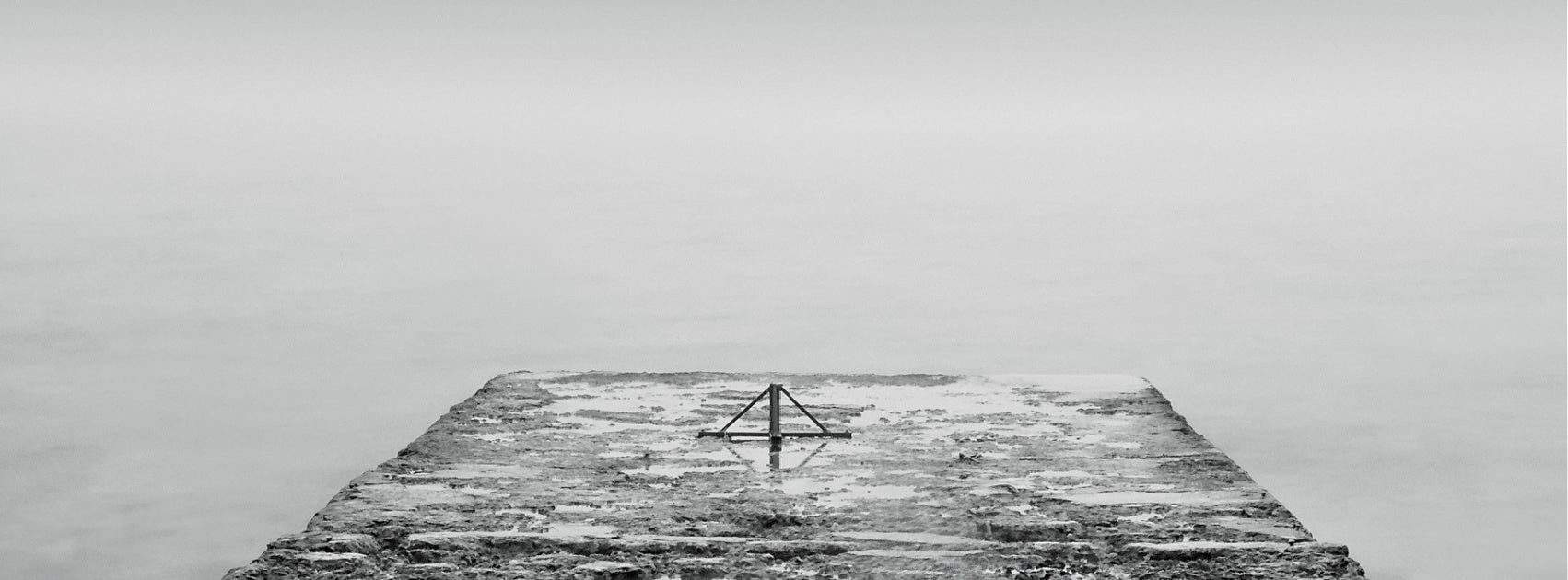 Luxurious Intense Wood Collection Pure Soy Candle