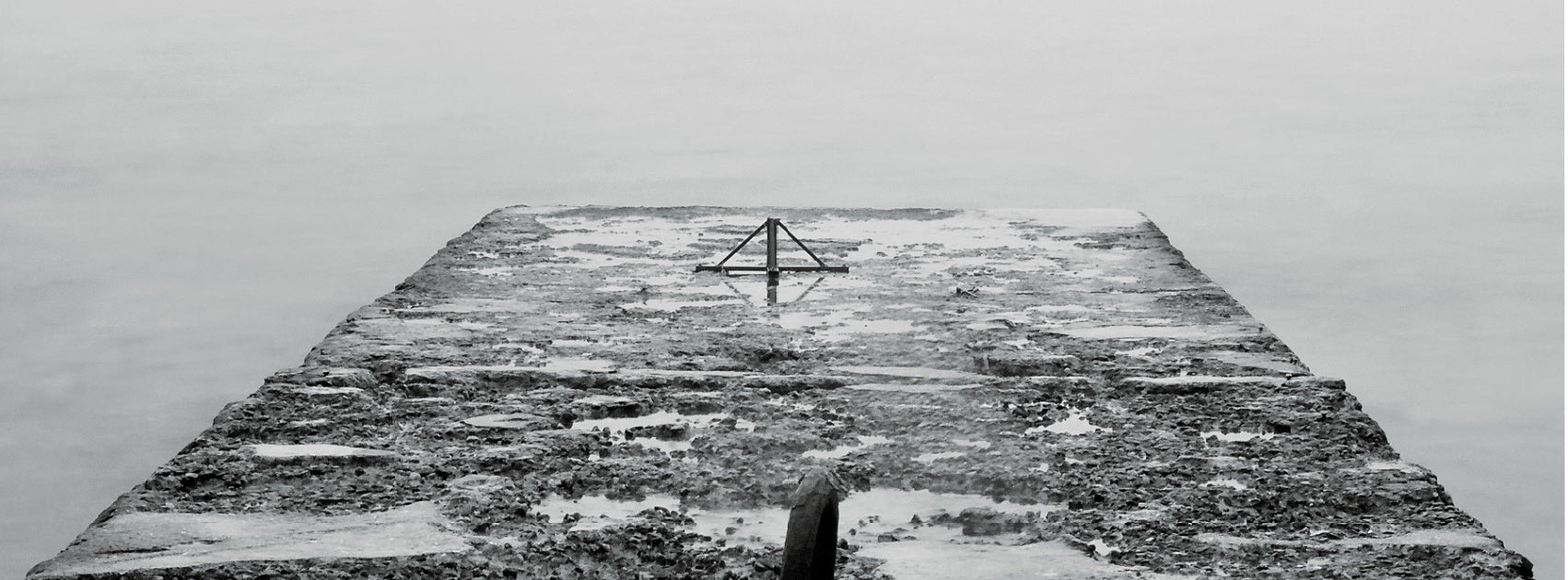 Organic Botanical Man Body Lotion I Aftershave, Sanso Cellular Australia by Sonya