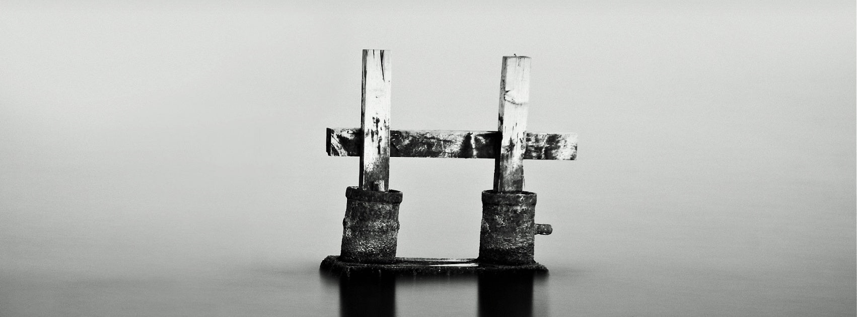 Organic Botanical Man Beard I Shave, Sanso Cellular Australia by Sonya