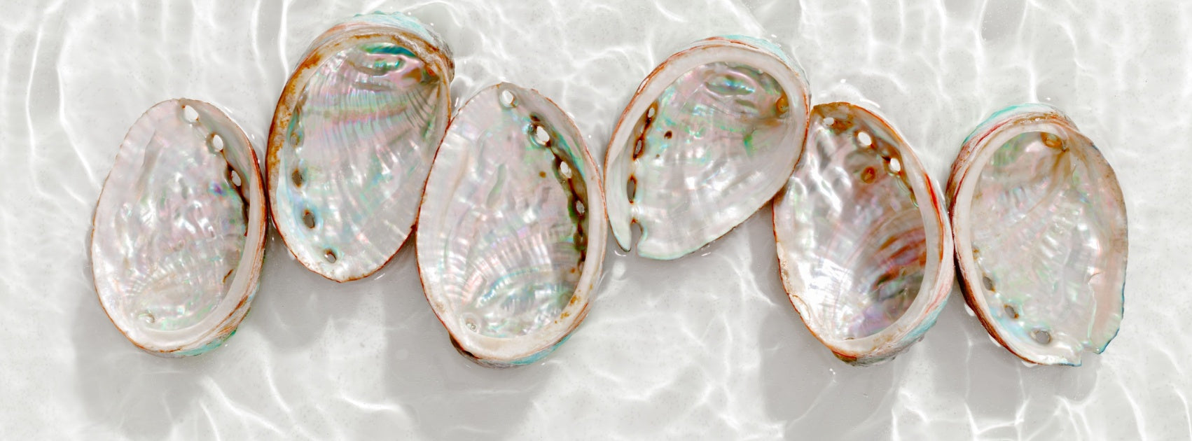 Micro Circulation Organic Botanical Skincare, Handmade Sanso Cellular Australia by Sonya