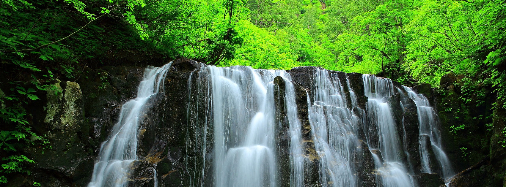 Oily Problematic Acne Organic Botanical Skincare, Handmade Sanso Cellular Australia by Sonya