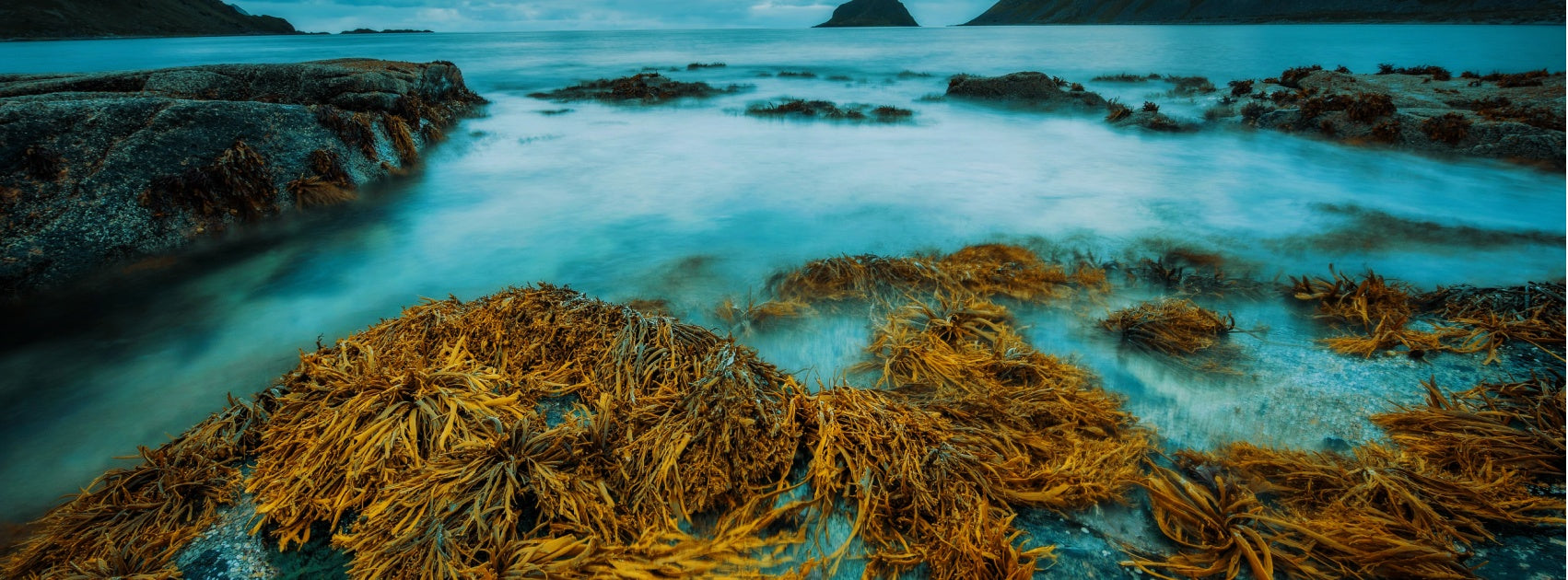 Oxygen Rengenerate Cellular Skincare Collection, Handmade Sanso Cellular Australia by Sonya