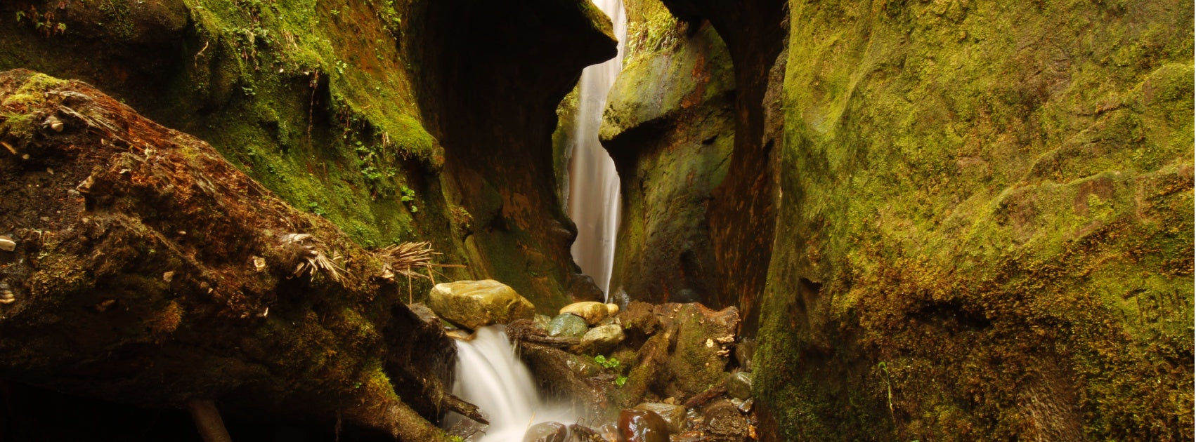 Physical Body Healing Creams and Tinctures, Sanso Cellular Australia by Sonya