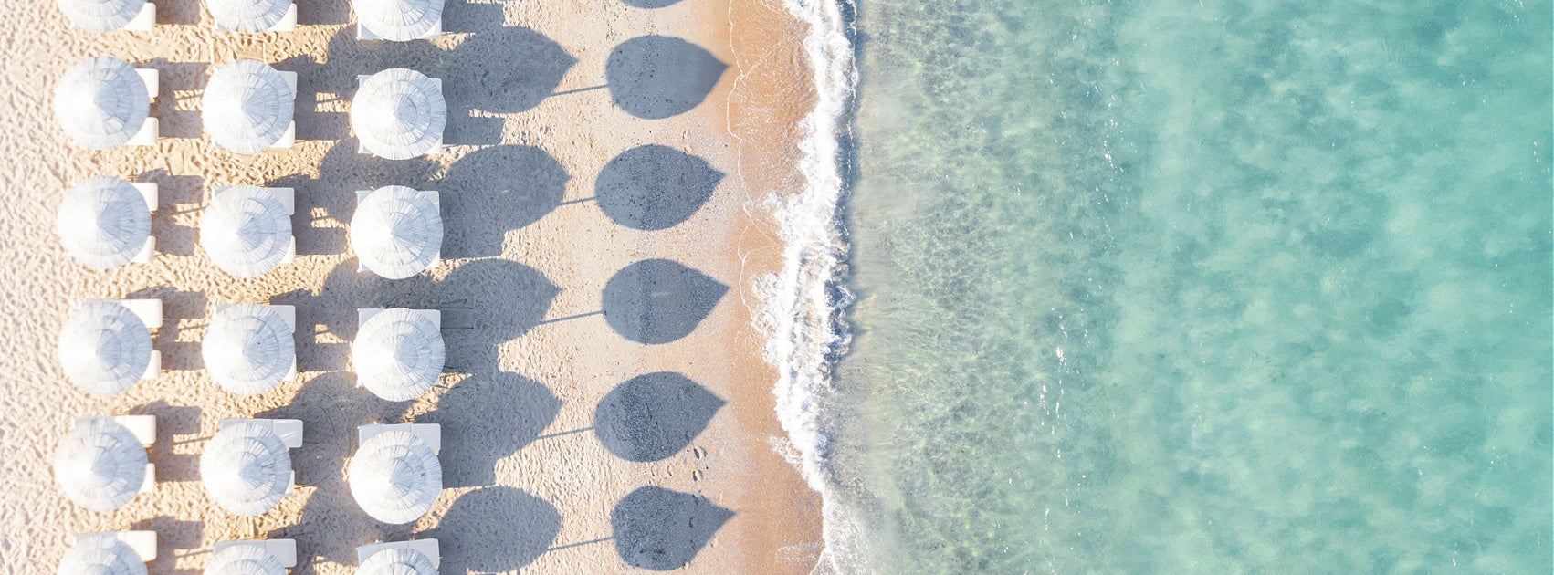 Luxurious Signature Reed Diffuser