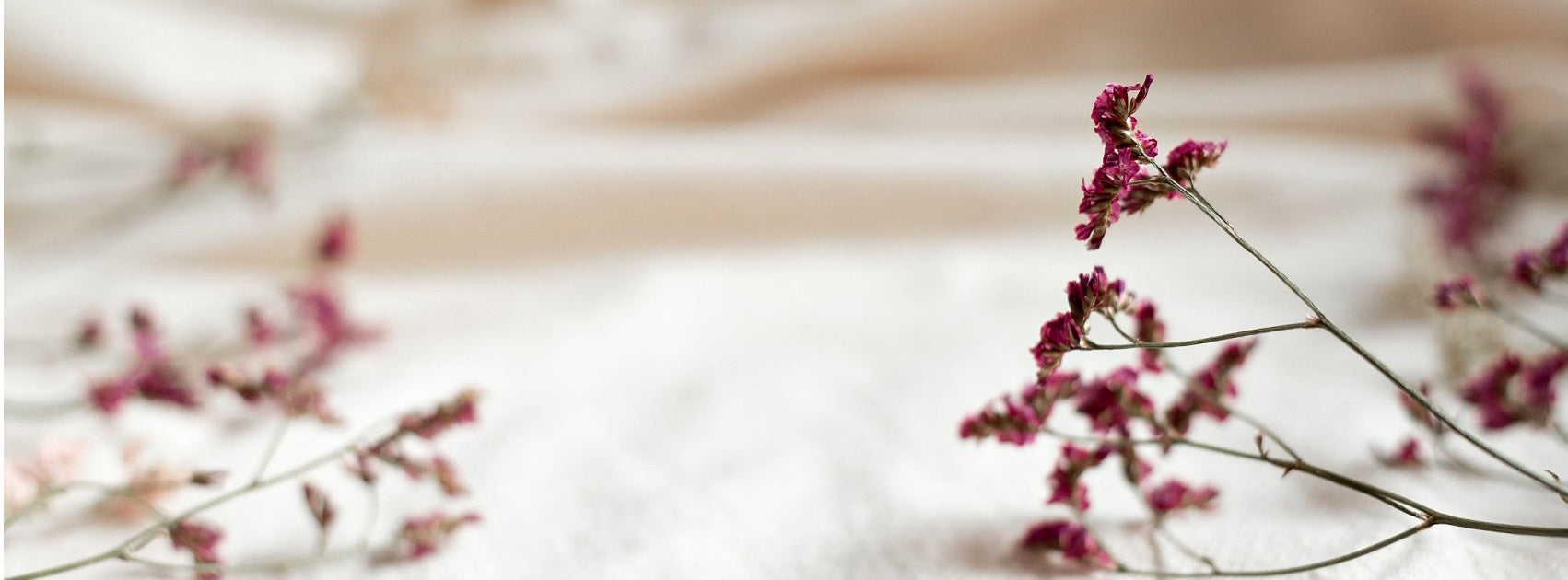 Interior Signature Home Linen Clothes Car Mist Hand Crafted Sanso Cellular Australia by Sonya