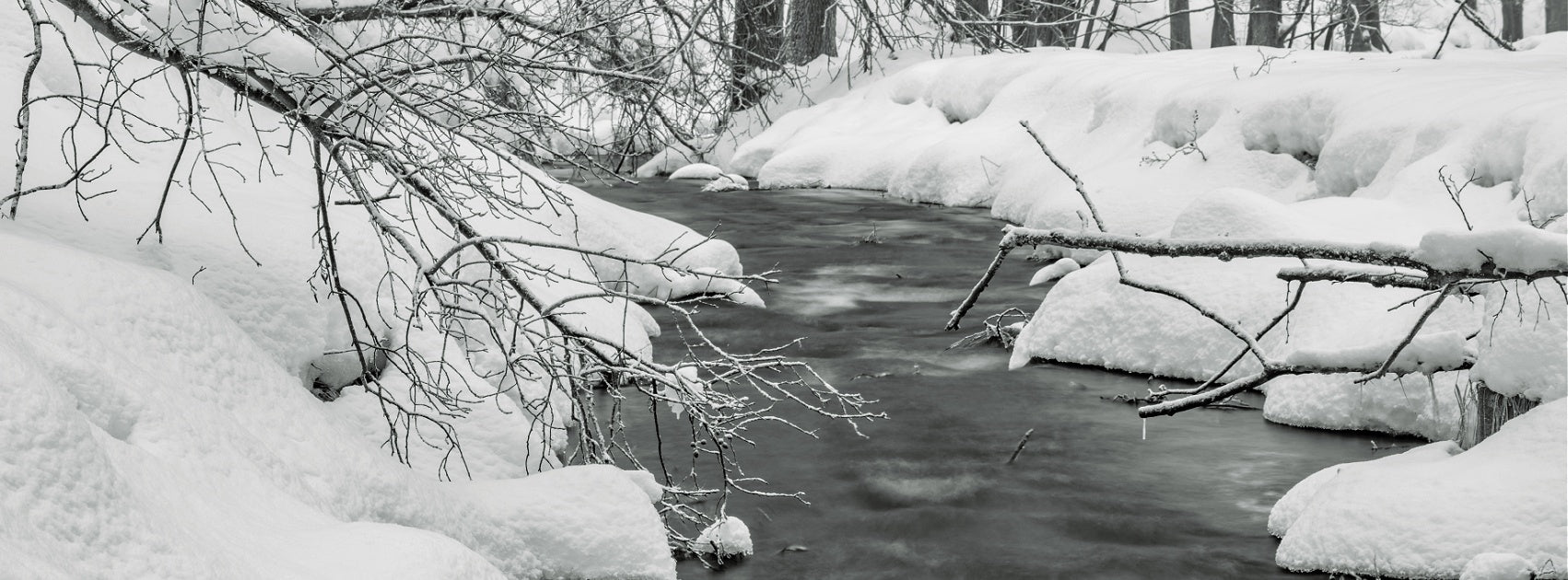 Seasonal Reed Diffuser Refill