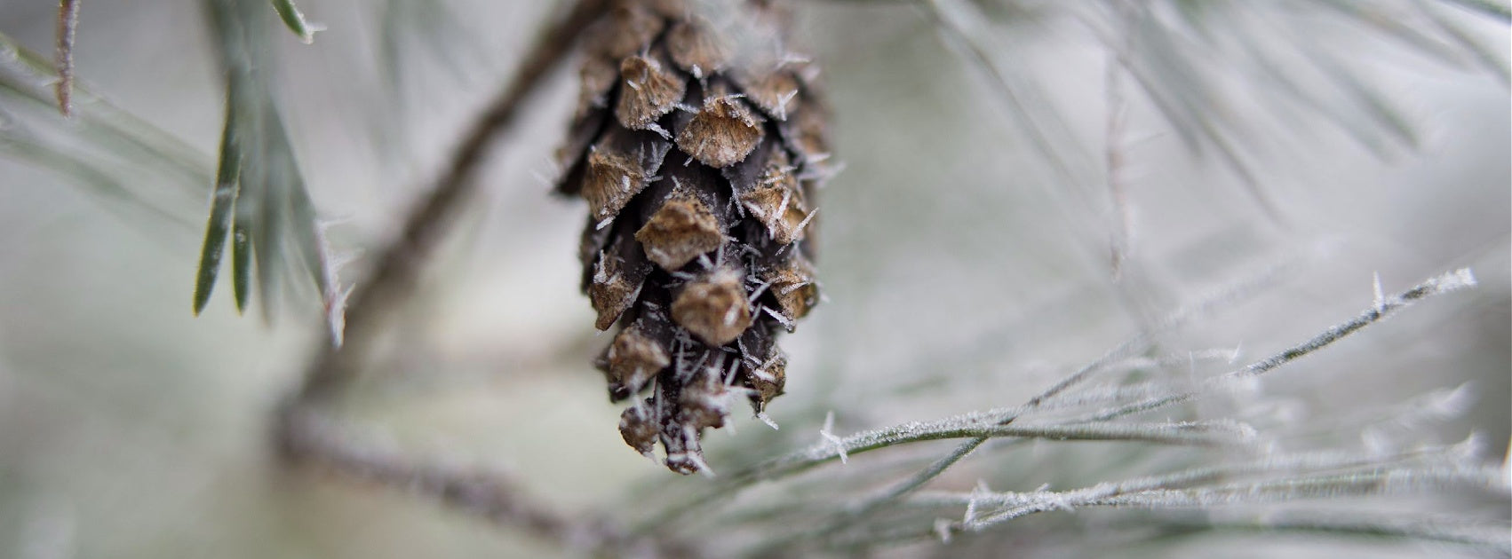 Seasonal Interior Room Linen Mist Hand Crafted Sanso Cellular Australia by Sonya