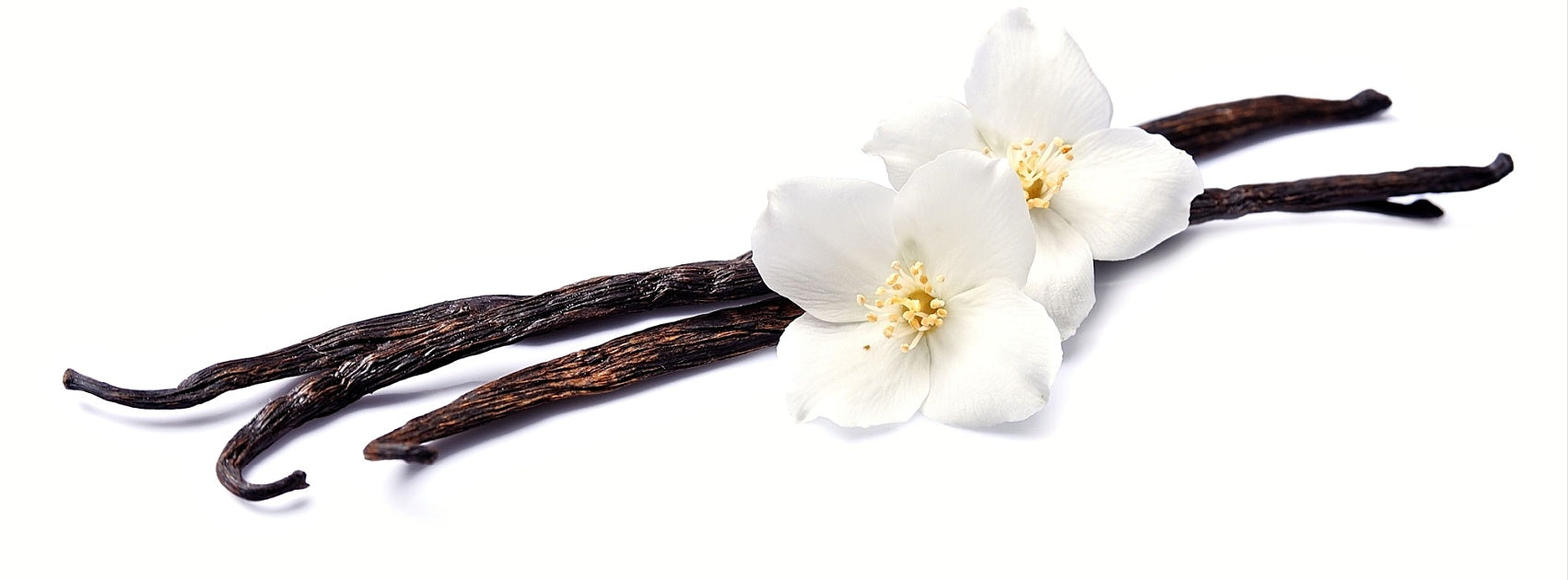 Vanilla Collection Diffuser Oil