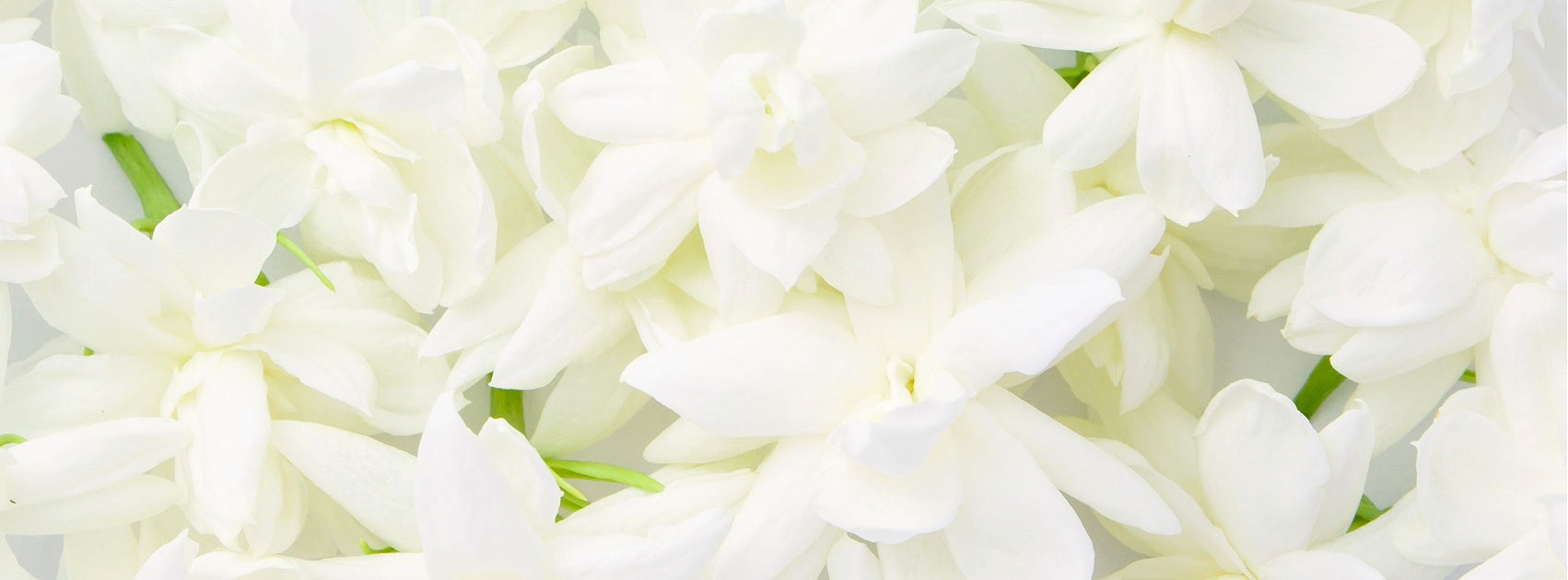 Vanilla Collection Hanging Diffuser Hand Crafted Sanso Cellular Australia by Sonya