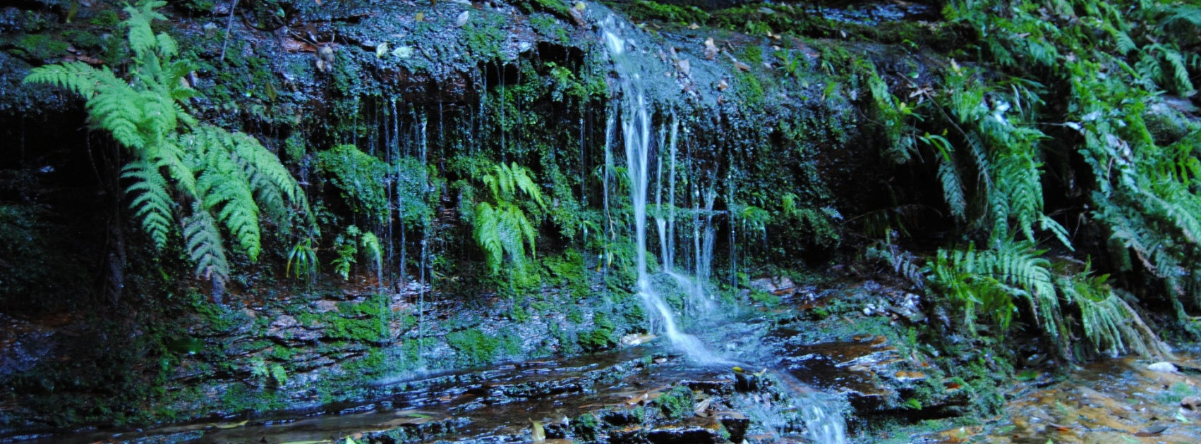 Vibraton Chaka Energy Cellular Healing, Sanso Cellular Sonya Australia