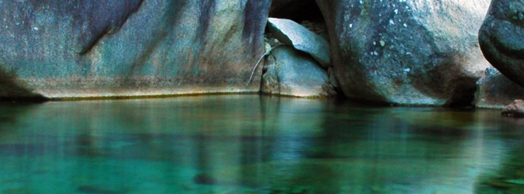 Organic Botanical Body Cream, Handmade Sanso Cellular Australia by Sonya