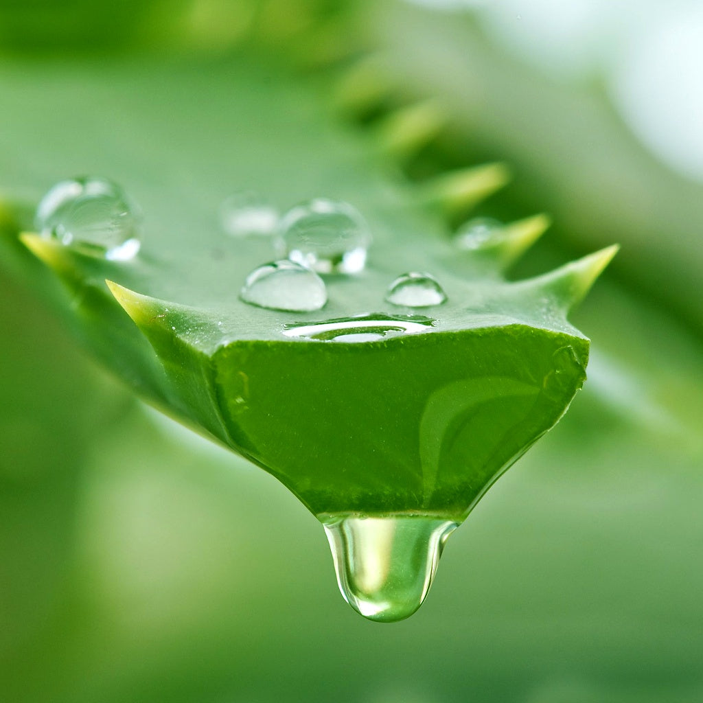 OxyGEN Mi-Cellular Oil Cleanse I Make Up Remover