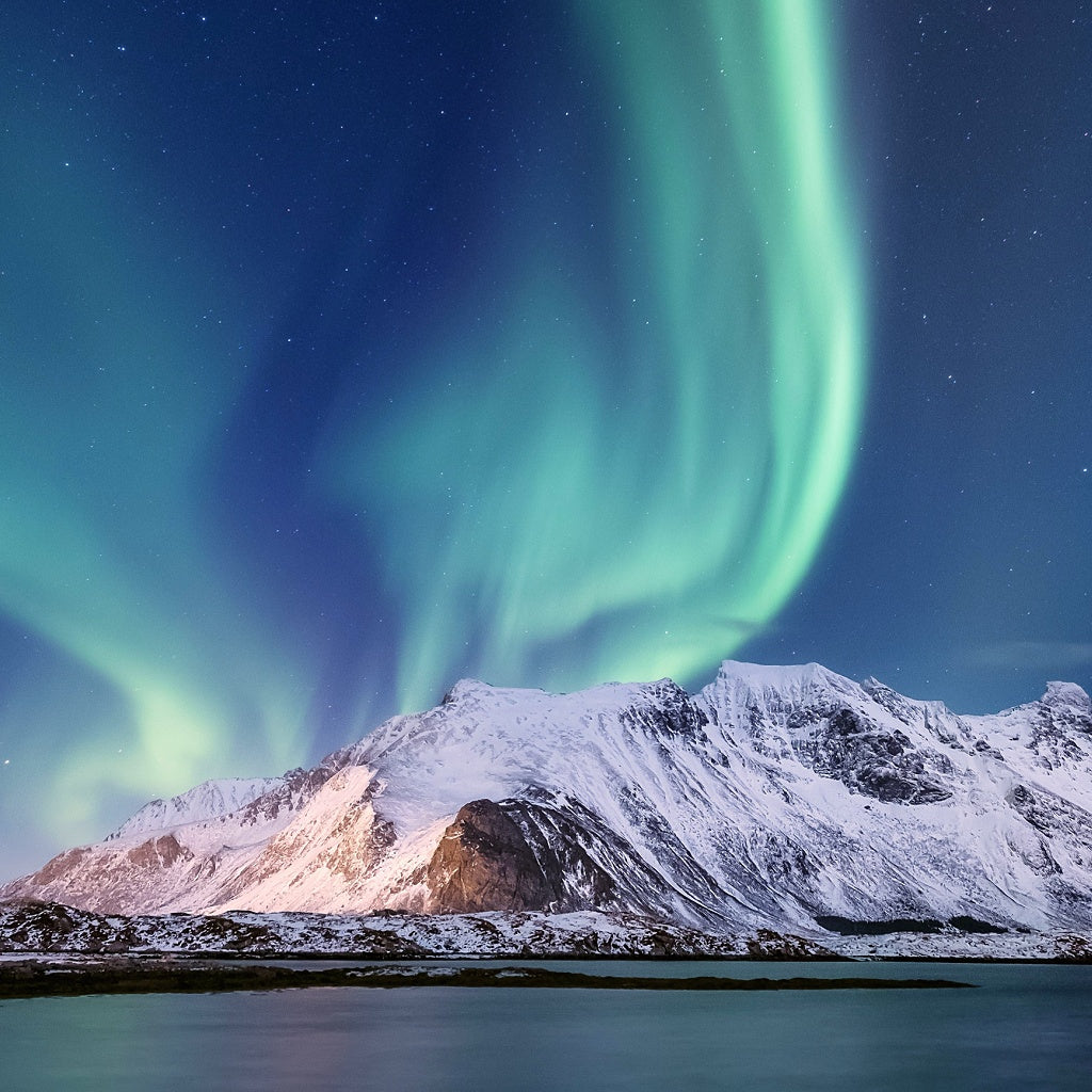 Balance I Align Energy Healing Massage Body Oil