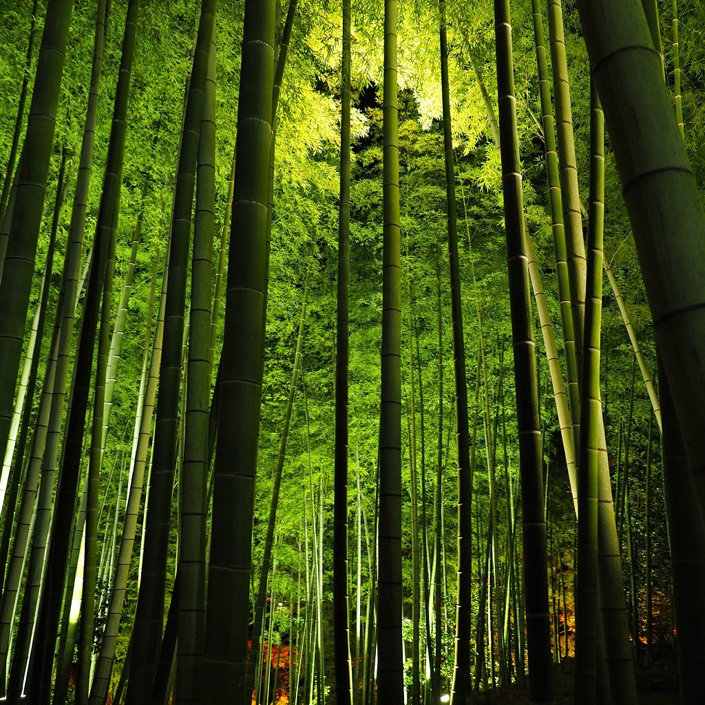 La Purita Pure Botanical Hair Heat Protect Mist