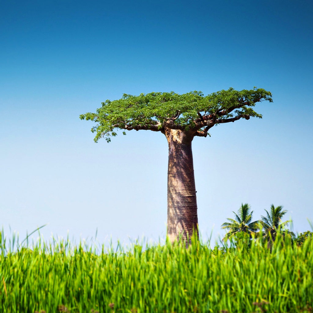 Hydrate Man Juvenate8 Face Moisturiser