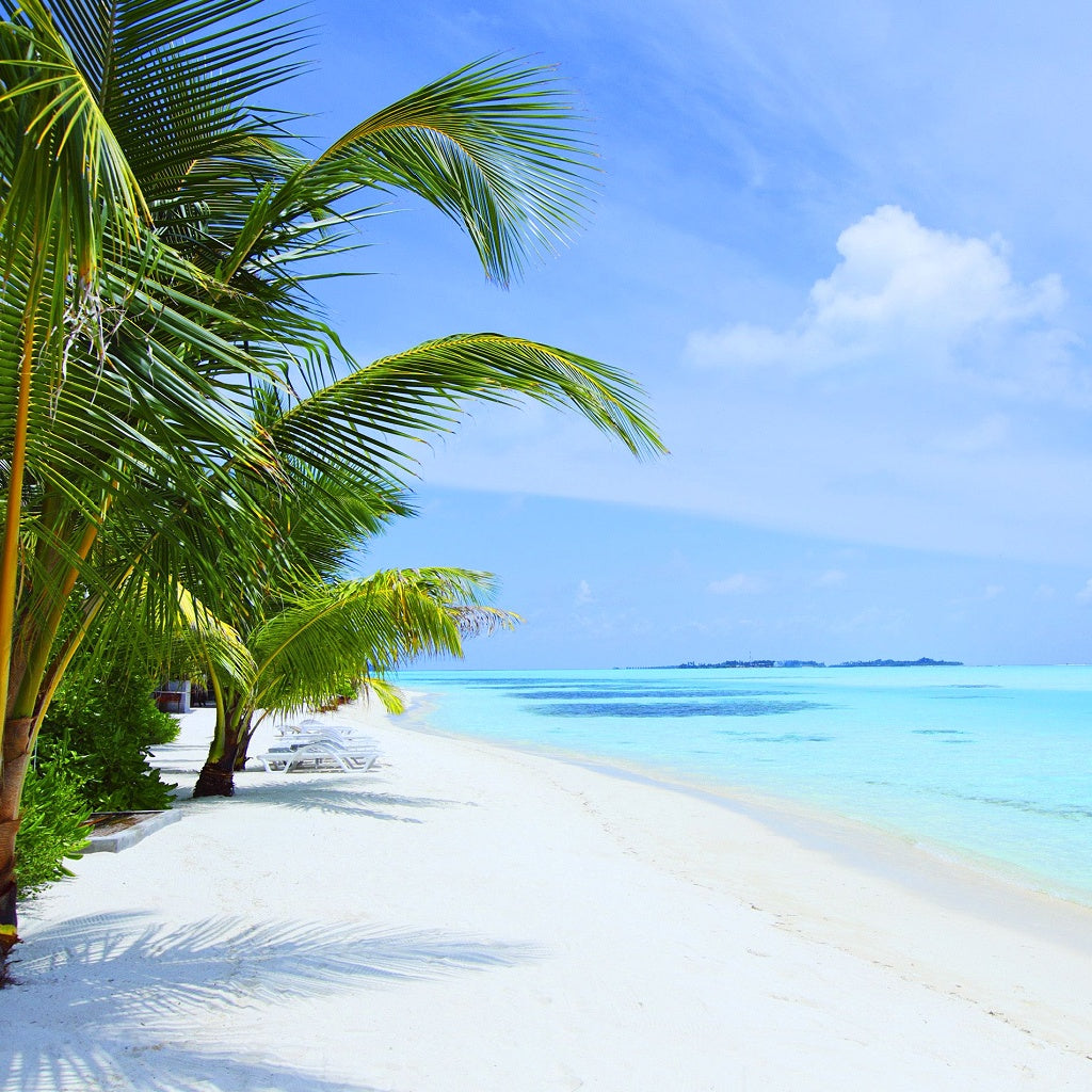 Barbados Signature Diffuser Oil