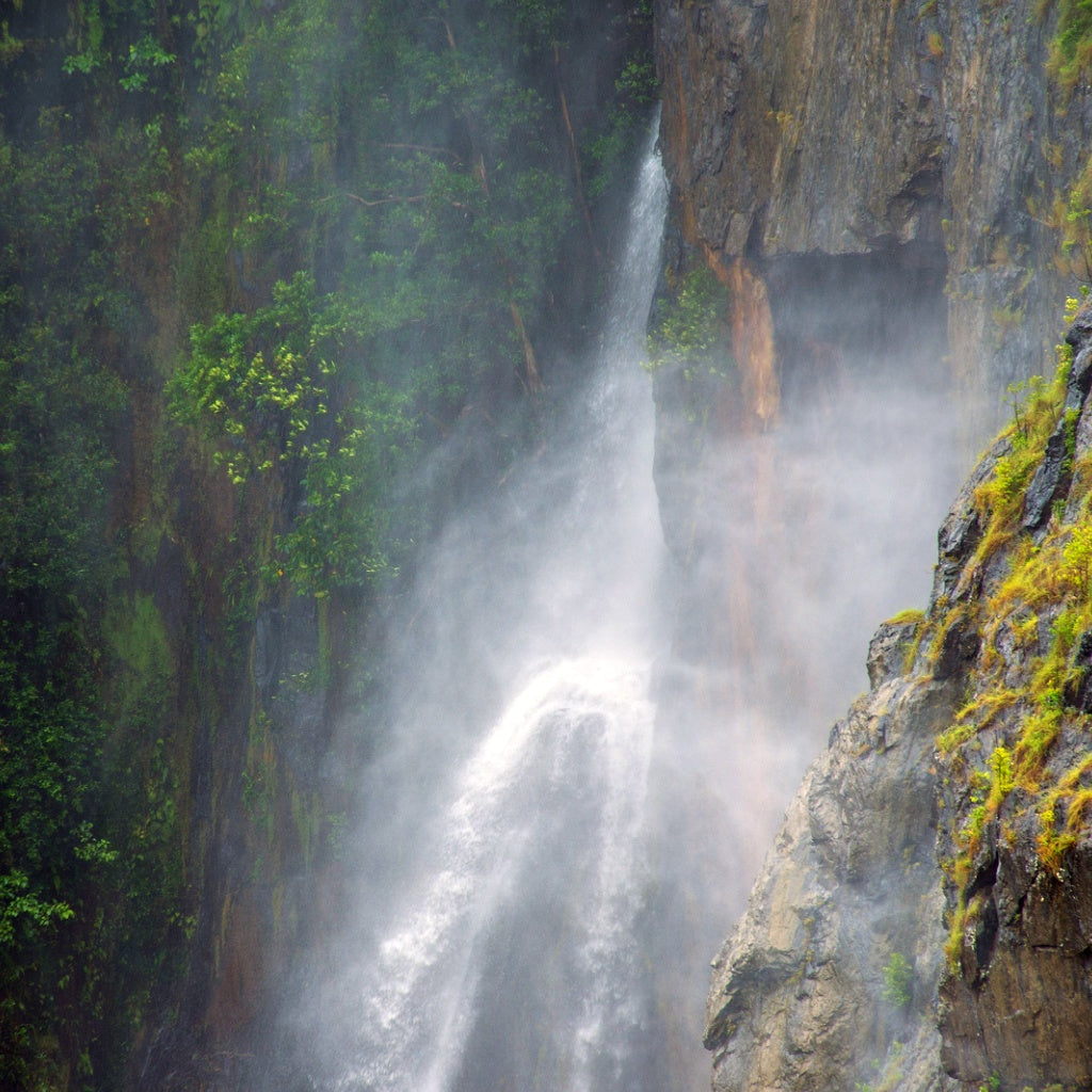 Barron Falls Kuranda Australian Signature Pure Soy Melt I Coastal Sea Air