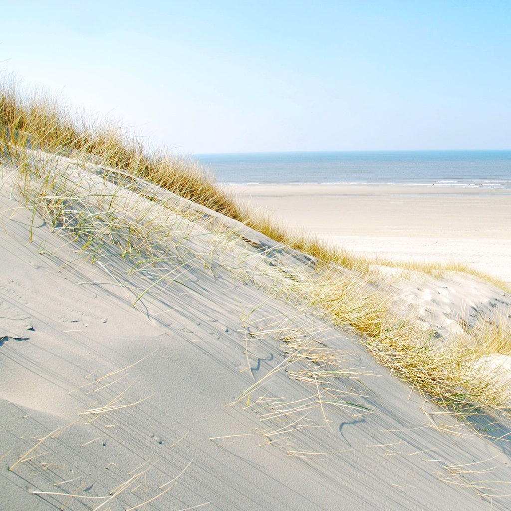 Marseille Signature Diffuser Oil