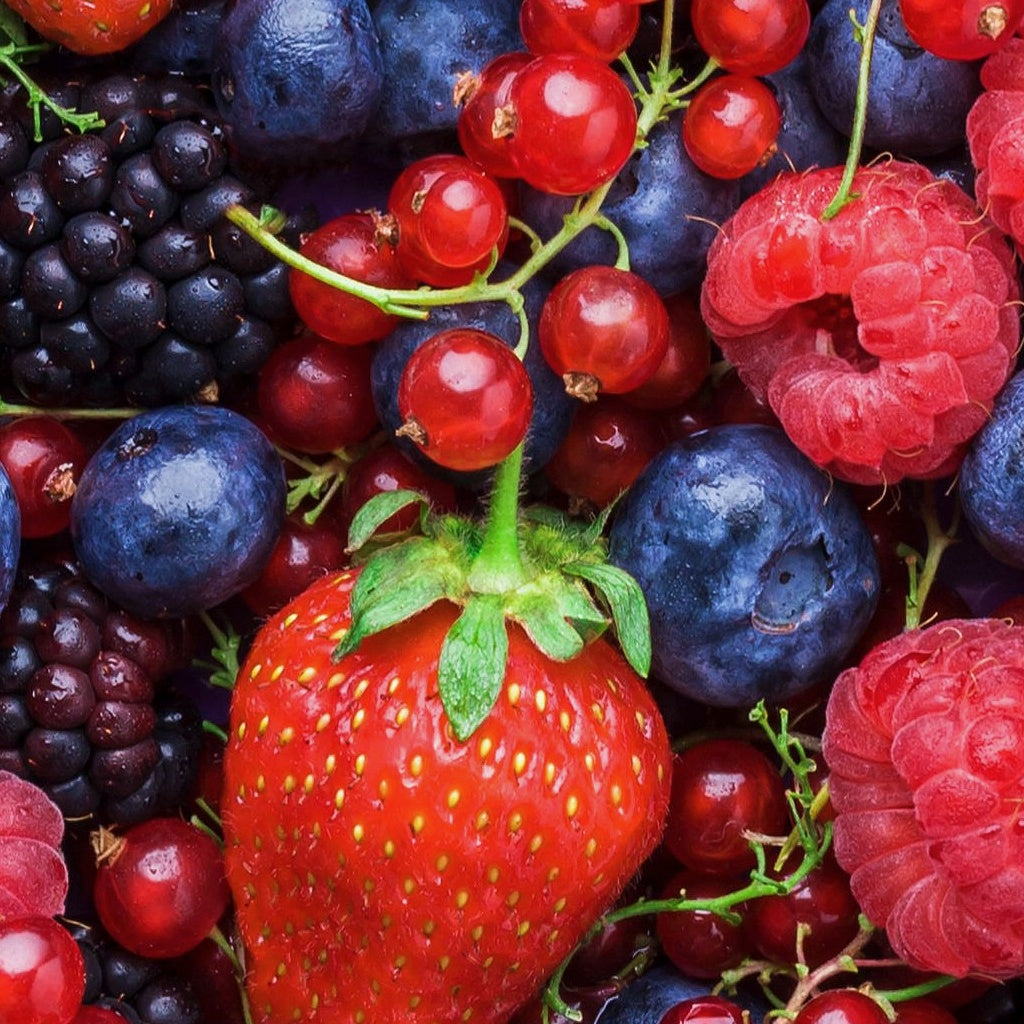 UV Plant Protect Serum Oil Essence I Non-Zinc Oxide Allergy